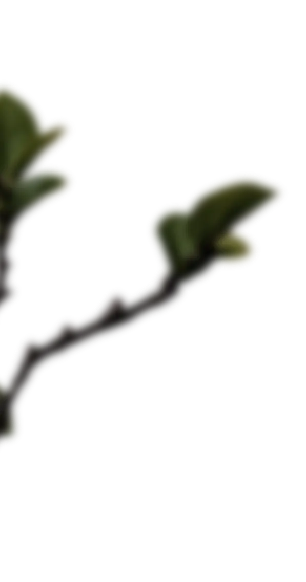 Architectural detail